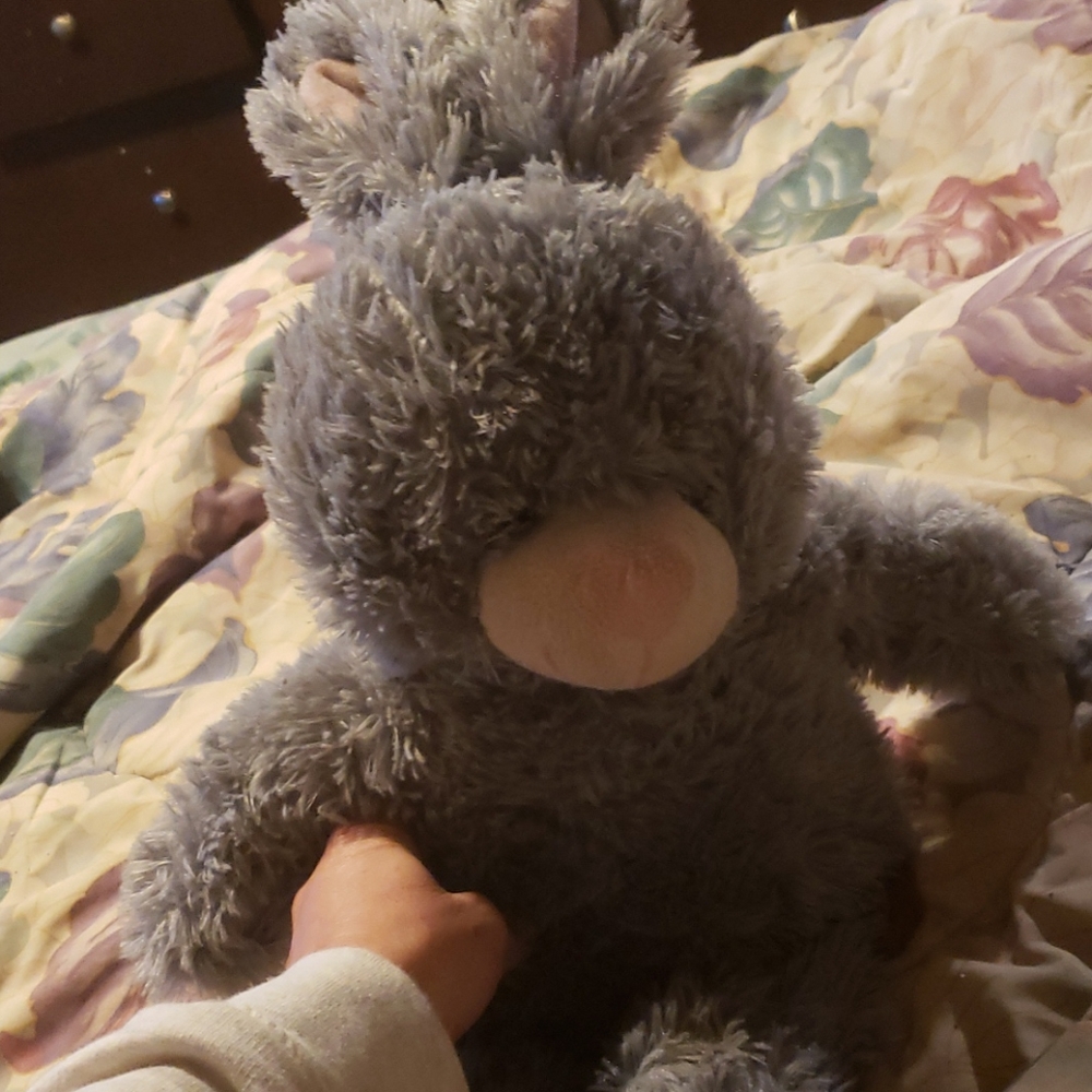 Bunny stuff animal